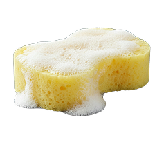  Prélavage 